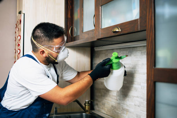 Best Insect Control  in Caldwell, TX