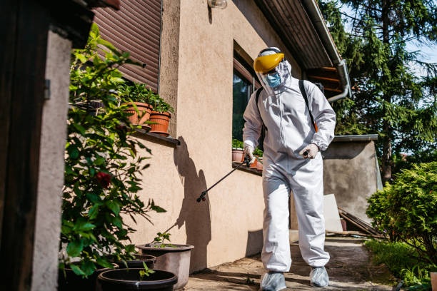 Best Wasp Removal Services  in Caldwell, TX