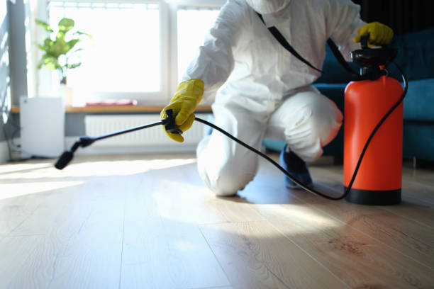 Best Local Pest Control Services  in Caldwell, TX