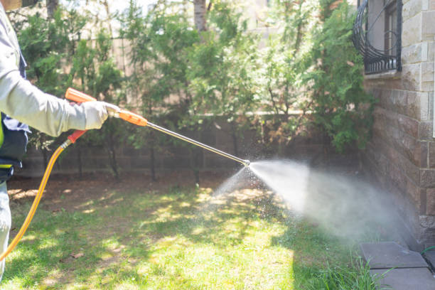Best Cockroach Control Services  in Caldwell, TX
