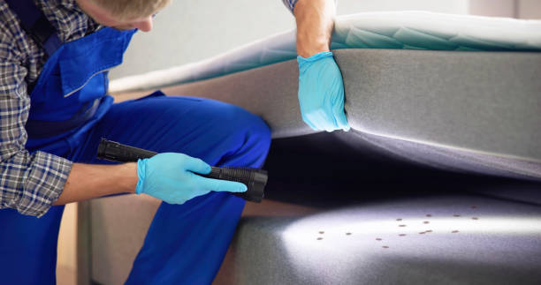 Best Residential Pest Control  in Caldwell, TX