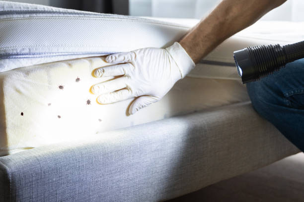 Best Wildlife Control Services  in Caldwell, TX