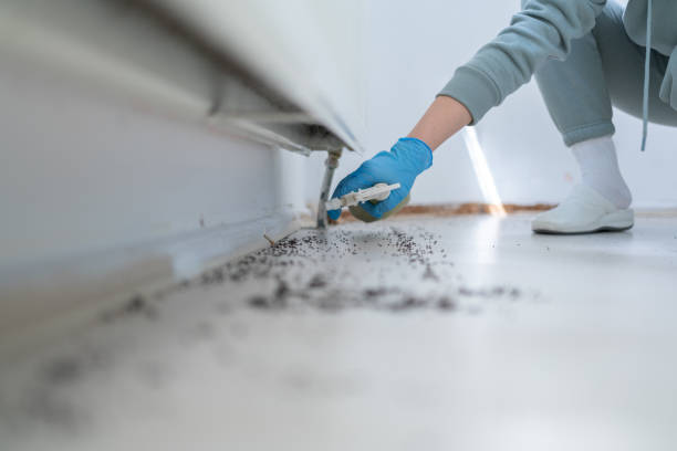  Caldwell, TX Pest Control Pros